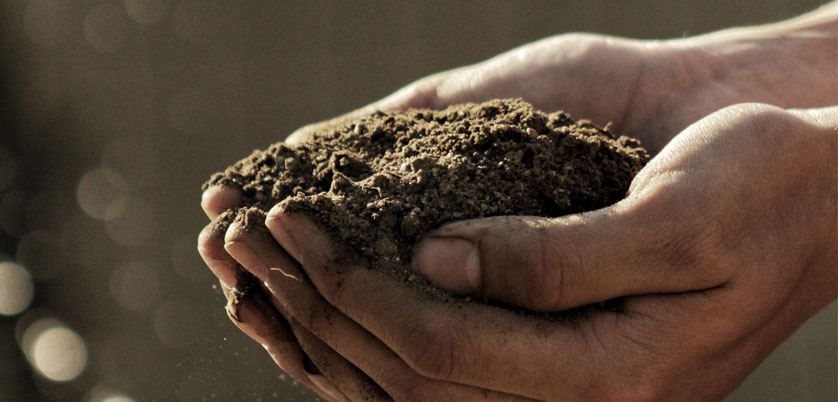 G8全自動(dòng)石墨消解儀對(duì)土壤中Cd、Cr、Cu、Pb、Ni、Zn金屬消解方案