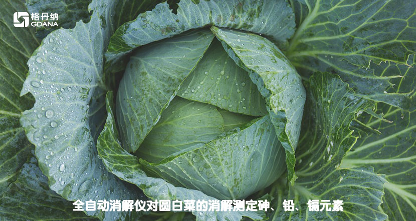 全自動消解儀對圓白菜的消解測定砷、鉛、鎘元素