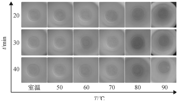 不同密閉消解時間、不同水浴溫度的消解效果